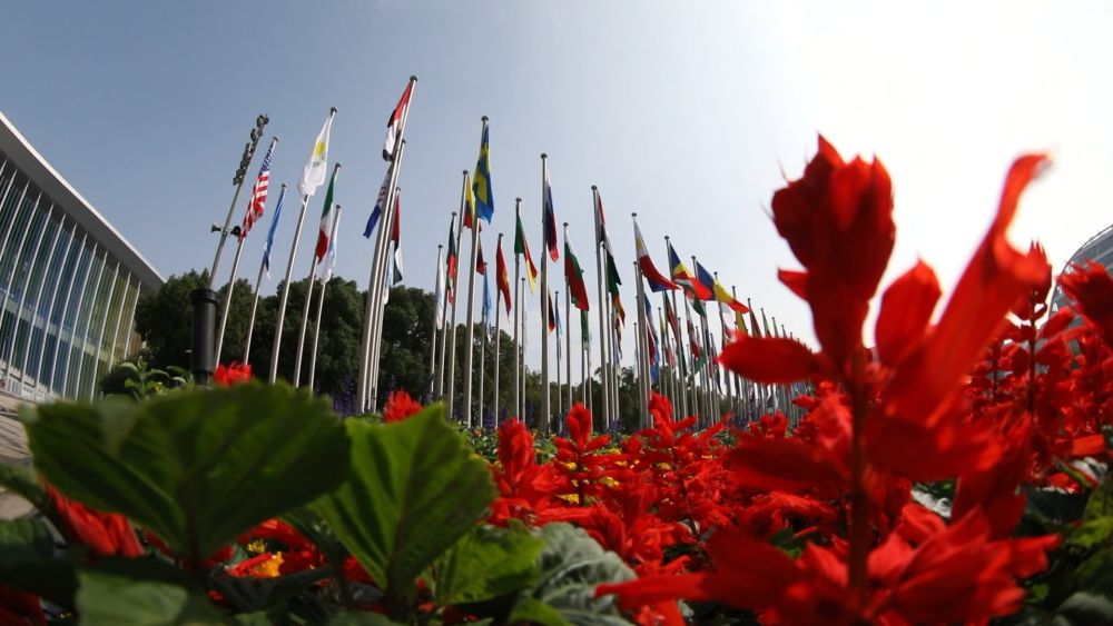 新华视点|第八届进博会:共享大市场,共创新机遇 新华视点|第八届进博会:共享大市场,共创新机遇