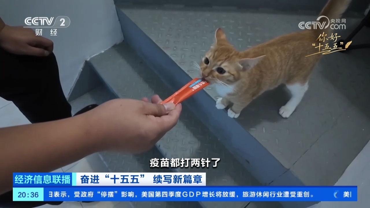 如何从住有所居到住有优居？看三城三人的安居故事