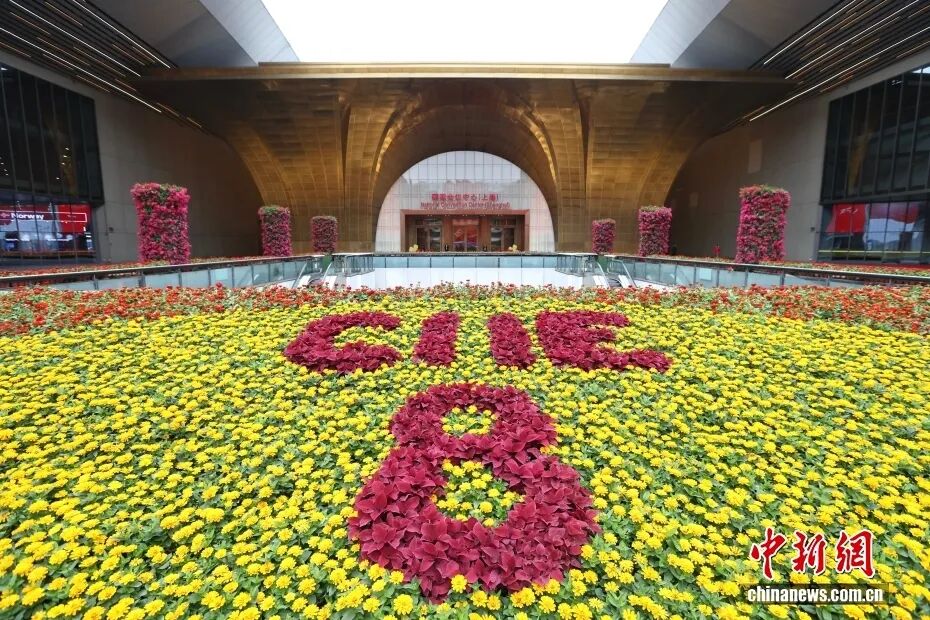 进博会的造富“神话”