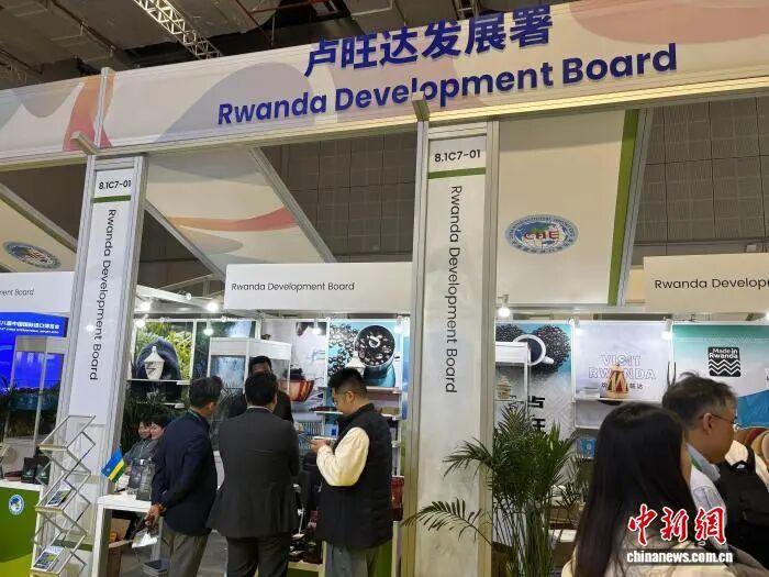 进博会的造富“神话”