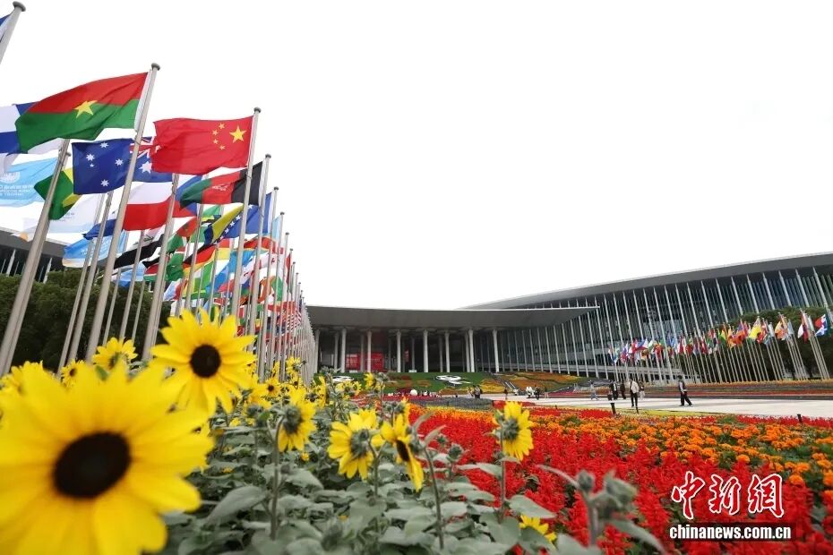 进博会的造富“神话”