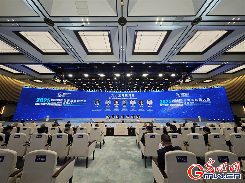 【乌镇视窗】一组图带你回顾2025年世界互联网大会乌镇峰会精彩瞬间