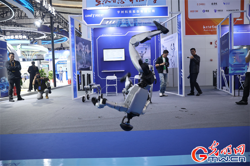 【乌镇视窗】一组图带你回顾2025年世界互联网大会乌镇峰会精彩瞬间