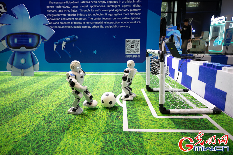 【乌镇视窗】一组图带你回顾2025年世界互联网大会乌镇峰会精彩瞬间