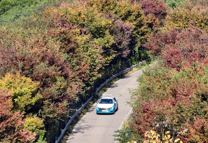 推进社会治理现代化走深走实——各地学习贯彻党的二十届四中全会精神见闻