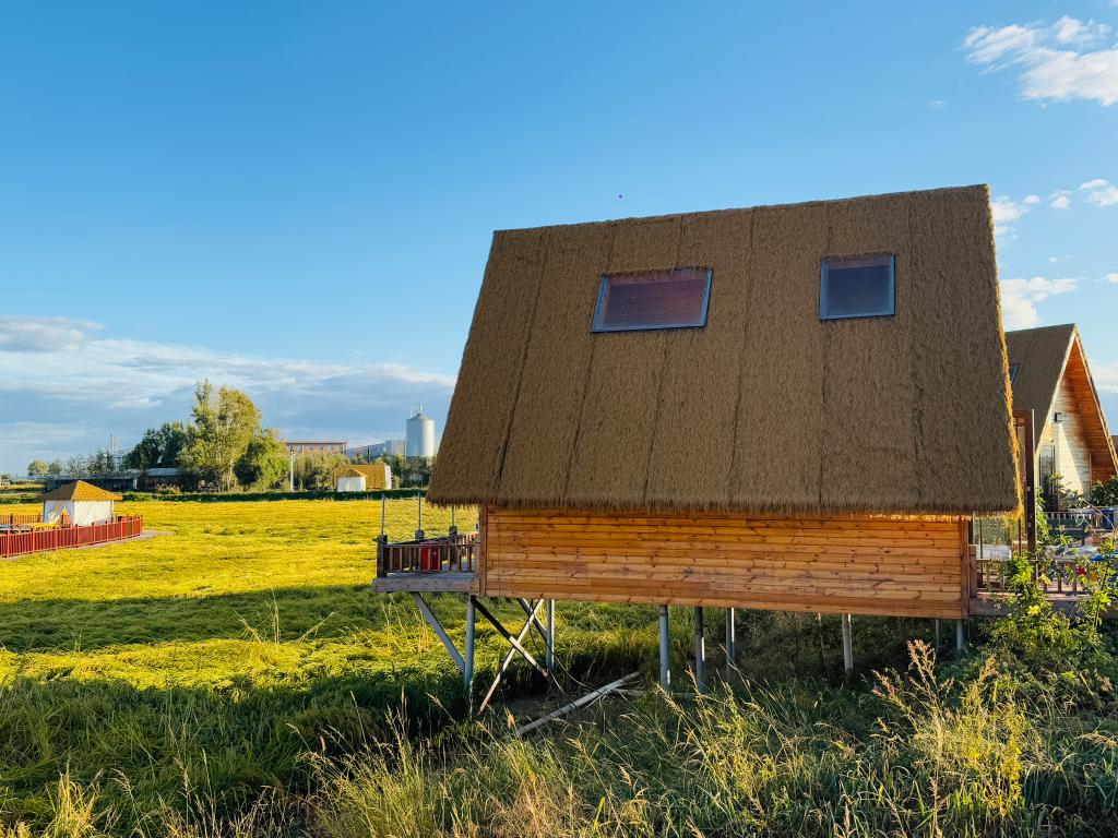 四中全会精神在基层丨擦亮“稻乡”金字招牌——从黑龙江五常实践看大米产业进阶之路