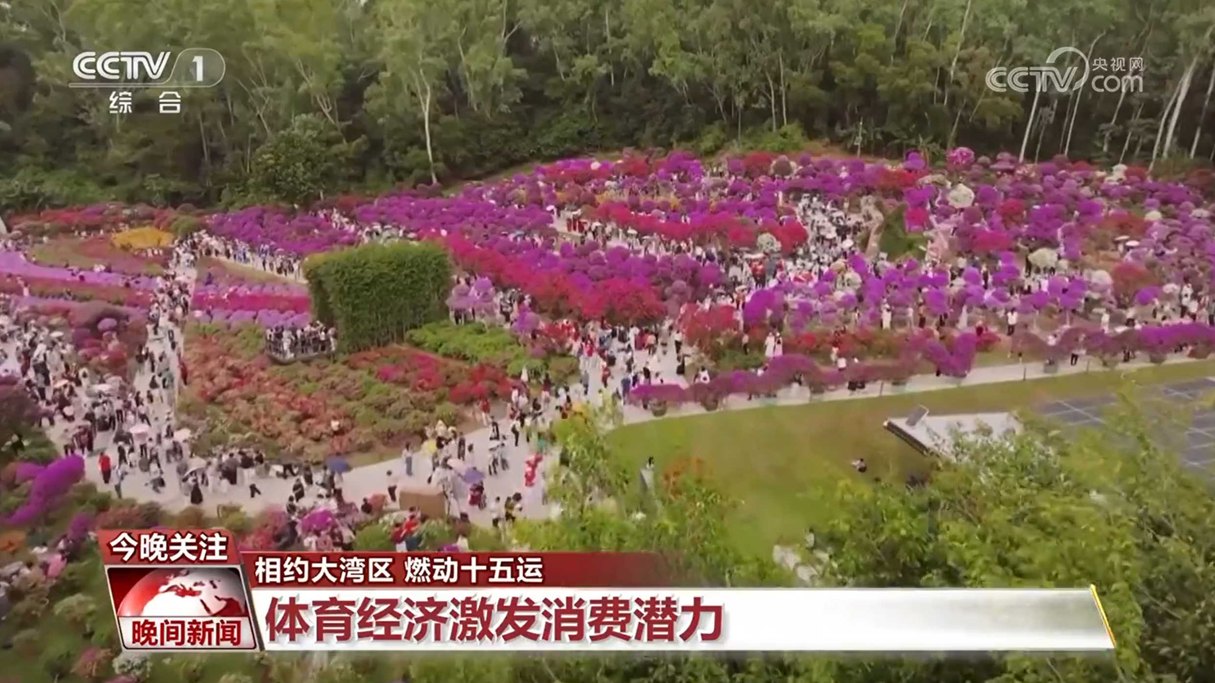 【相约大湾区 燃动十五运】拉近心与心的距离 志愿精神闪耀赛场 十五运会为体育产业注入“新动能”