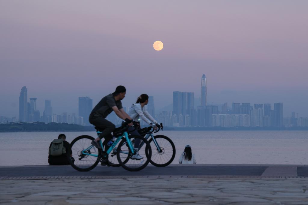 追光|42.195公里,连接了多少“大湾区奇迹”?