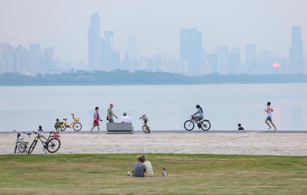 追光|42.195公里,连接了多少“大湾区奇迹”?