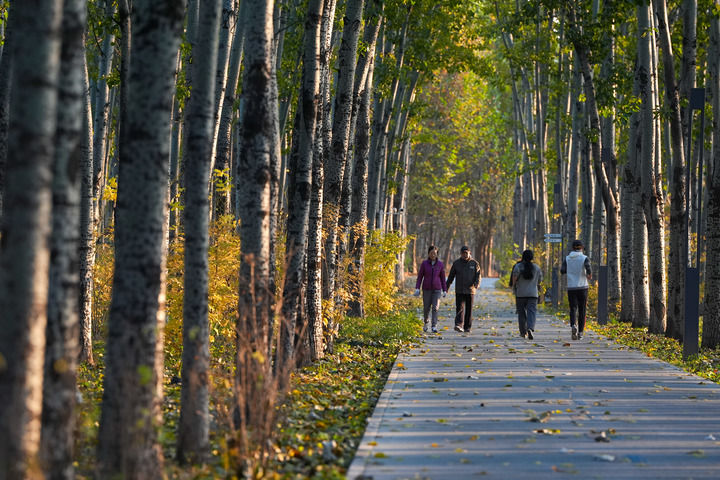 一张蓝图何以绘到底——北京以规划引领超大城市治理的启示