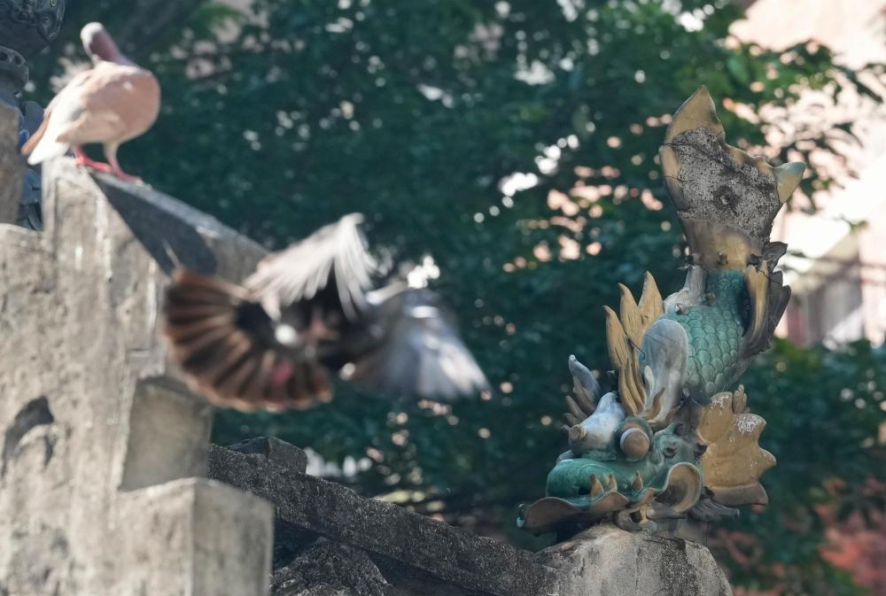 全运半程回顾|有坚持、有热爱、还有共同的未来与期待 全运半程回顾|有坚持、有热爱、还有共同的未来与期待