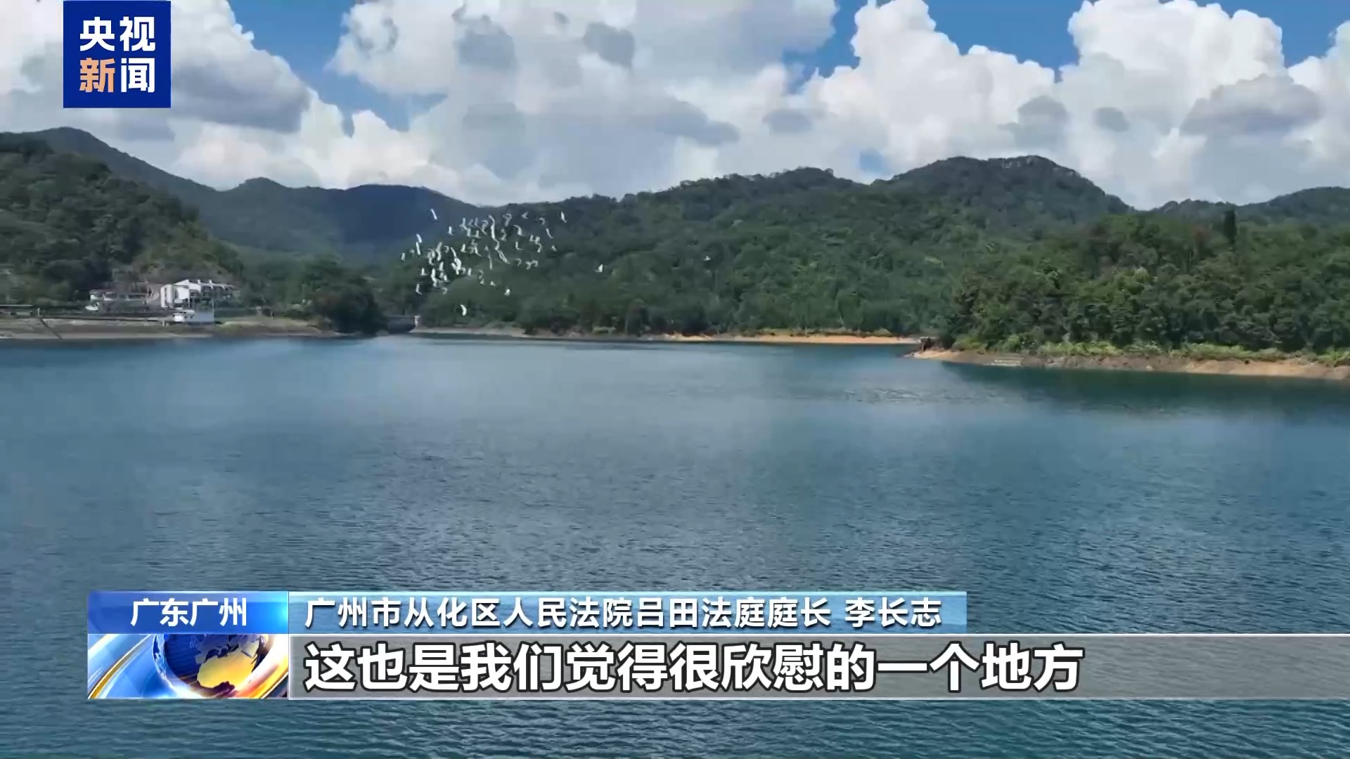 光阴的故事丨行走的天平 “森林法官”多跑“一公里”守护绿水青山