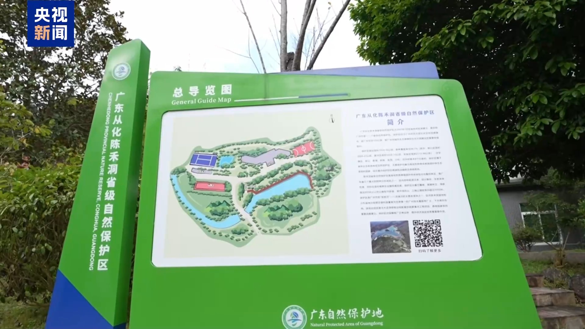 光阴的故事丨行走的天平 “森林法官”多跑“一公里”守护绿水青山