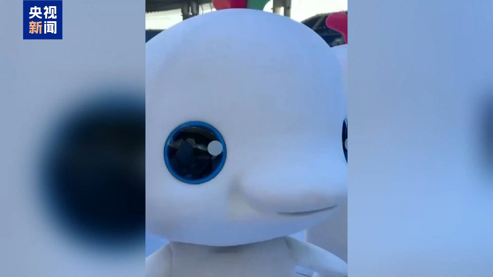 16斤玩偶服藏不住可爱 全运会吉祥物斗舞名场面