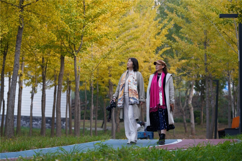 新闻纵深·解码宜居县城新样本|小成本如何“改”出大幸福