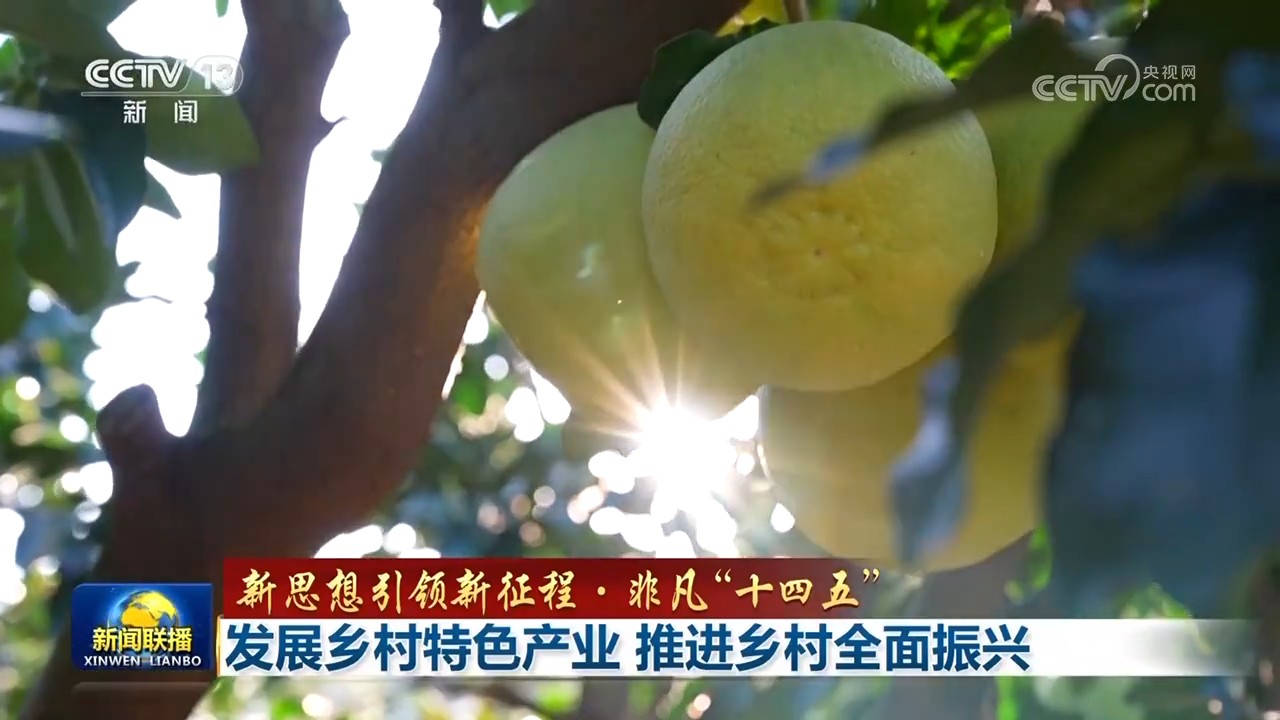 【新思想引领新征程·非凡“十四五”】发展乡村特色产业 推进乡村全面振兴