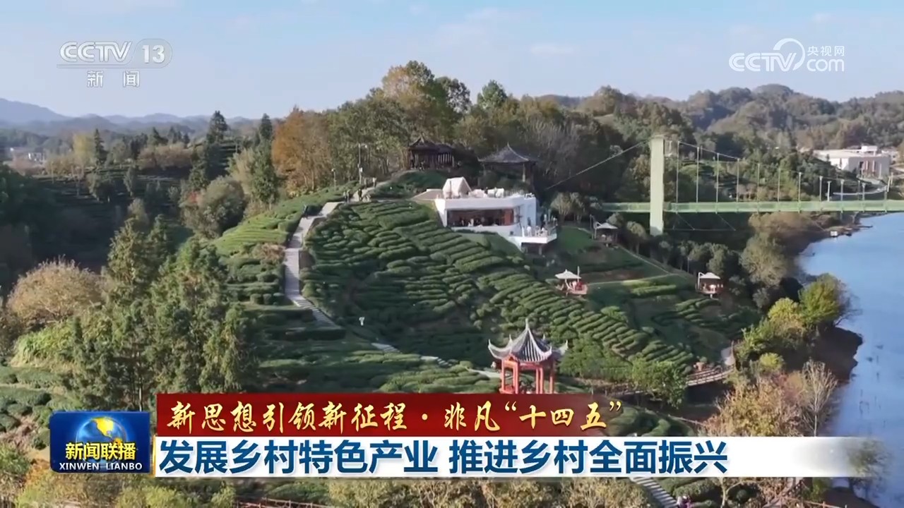 【新思想引领新征程·非凡“十四五”】发展乡村特色产业 推进乡村全面振兴