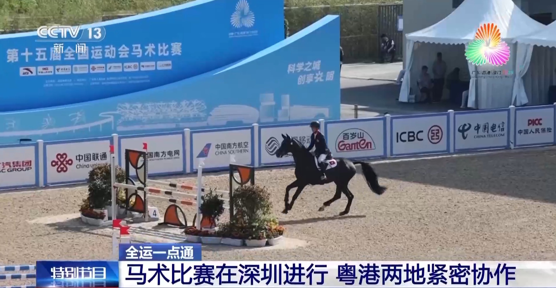 十五运会马术比赛在深圳进行 粤港两地紧密协作