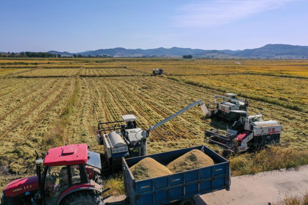 决胜“十四五” 打好收官战丨增肥黑土地 筑牢大粮仓——吉林加强黑土地保护一线观察