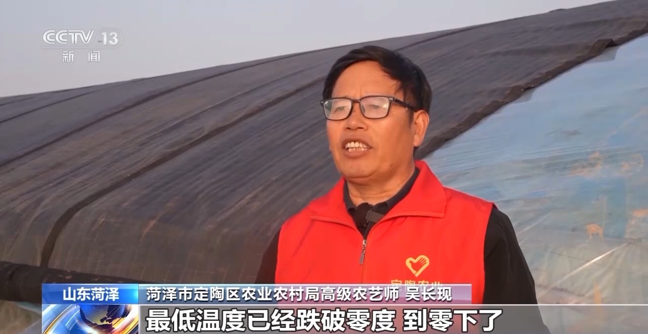 应对强降温 农技专家深入田间守护蔬菜过寒冬