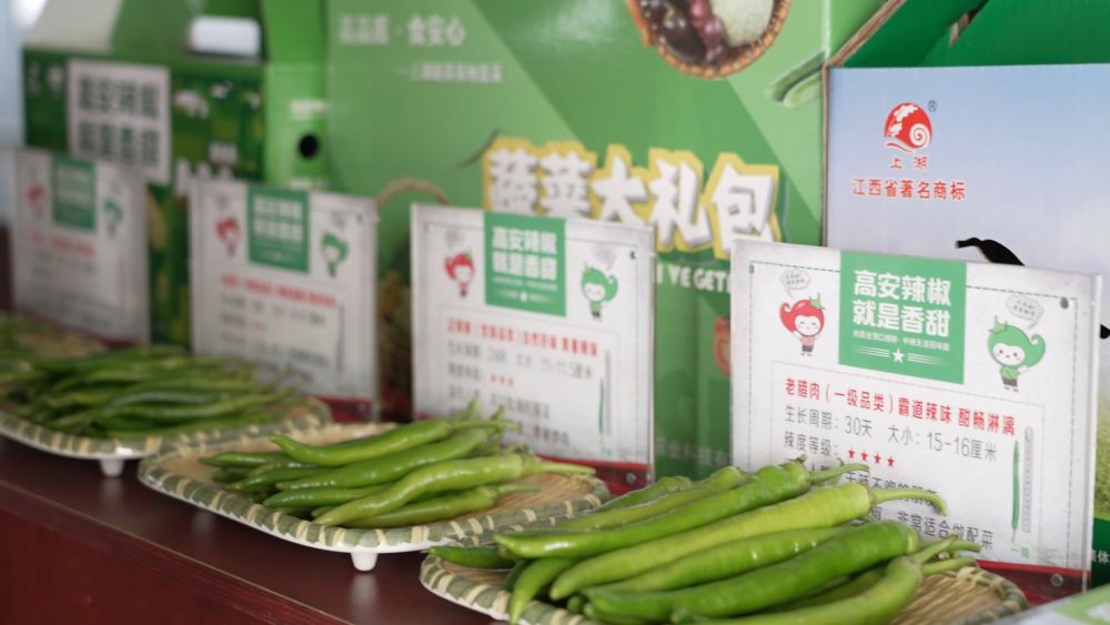 新华视点|中部地区贯彻落实四中全会精神 以高质量发展书写中部崛起新篇章 新华视点|中部地区贯彻落实四中全会精神 以高质量发展书写中部崛起新篇章