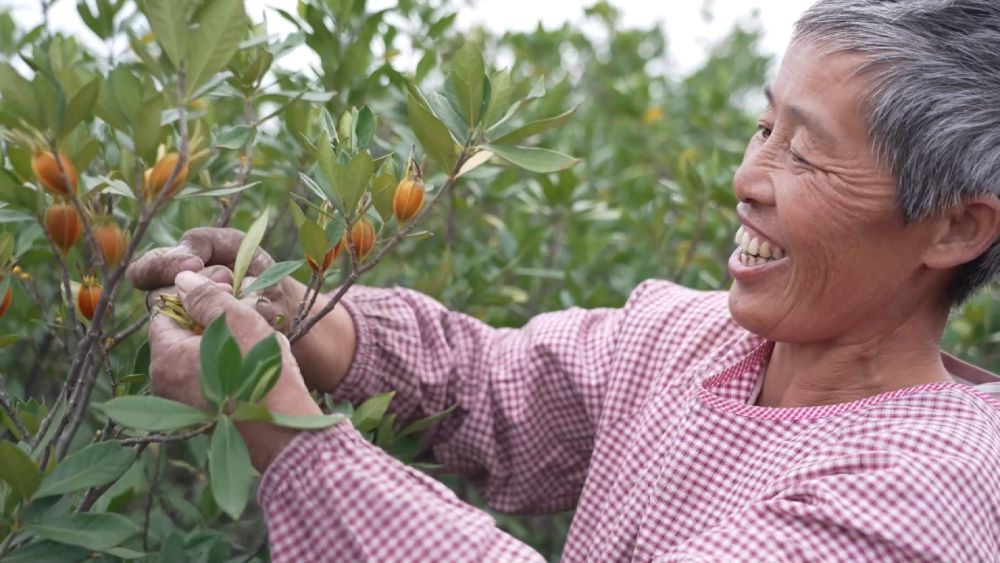 新华视点|中部地区贯彻落实四中全会精神 以高质量发展书写中部崛起新篇章 新华视点|中部地区贯彻落实四中全会精神 以高质量发展书写中部崛起新篇章