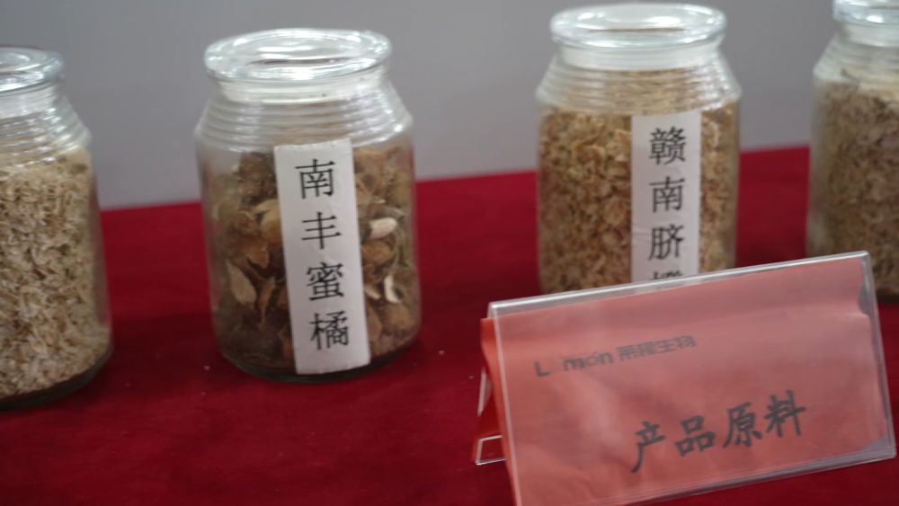 新华视点|中部地区贯彻落实四中全会精神 以高质量发展书写中部崛起新篇章 新华视点|中部地区贯彻落实四中全会精神 以高质量发展书写中部崛起新篇章