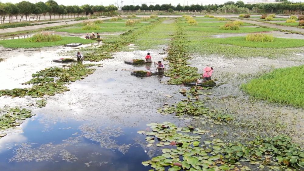 新华视点|中部地区贯彻落实四中全会精神 以高质量发展书写中部崛起新篇章 新华视点|中部地区贯彻落实四中全会精神 以高质量发展书写中部崛起新篇章