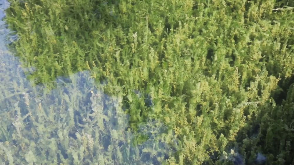 新华视点|中部地区贯彻落实四中全会精神 以高质量发展书写中部崛起新篇章 新华视点|中部地区贯彻落实四中全会精神 以高质量发展书写中部崛起新篇章