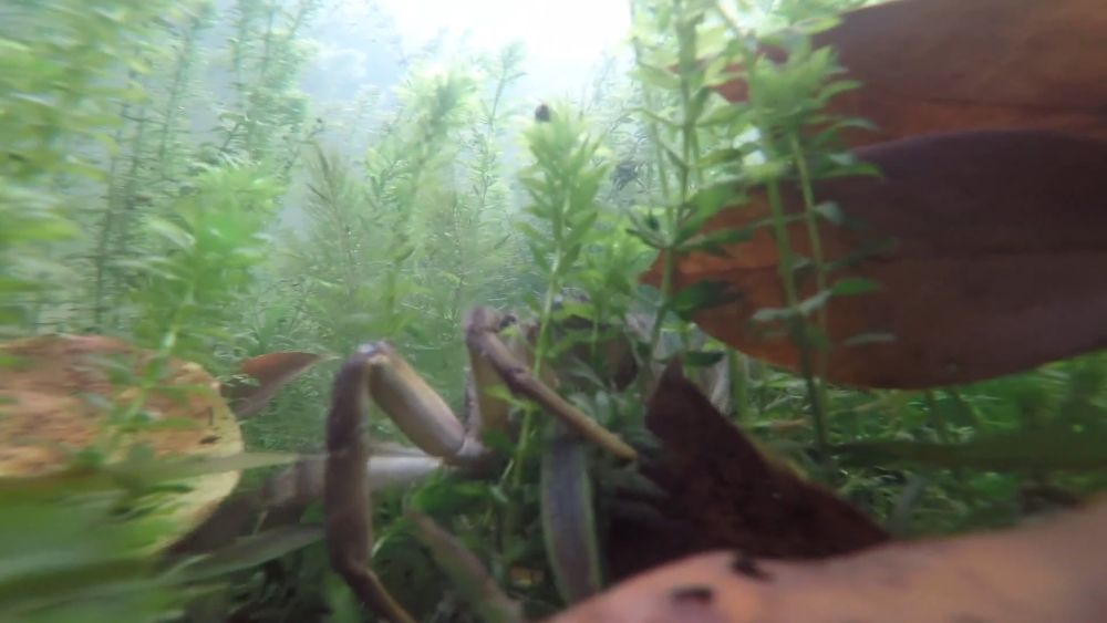 新华视点|中部地区贯彻落实四中全会精神 以高质量发展书写中部崛起新篇章 新华视点|中部地区贯彻落实四中全会精神 以高质量发展书写中部崛起新篇章