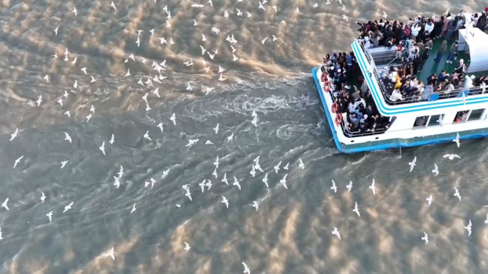 新华视点|生态绘新卷 各地绘就绿色发展好风光 新华视点|生态绘新卷 各地绘就绿色发展好风光