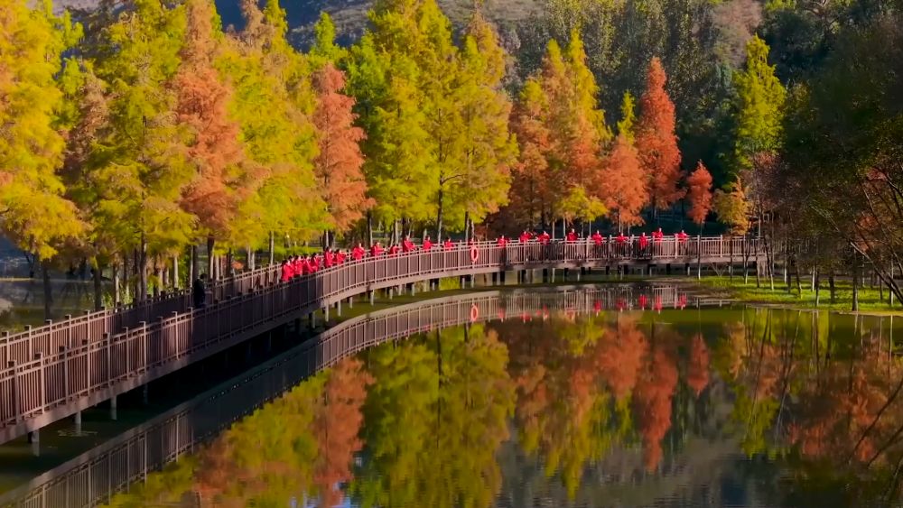 新华视点|生态绘新卷 各地绘就绿色发展好风光 新华视点|生态绘新卷 各地绘就绿色发展好风光