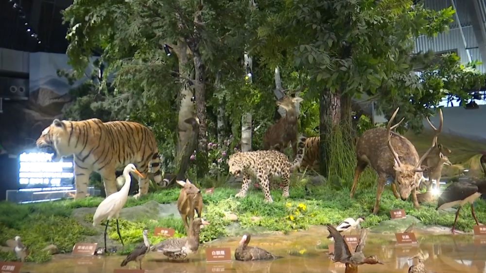 新华视点|生态绘新卷 各地绘就绿色发展好风光 新华视点|生态绘新卷 各地绘就绿色发展好风光