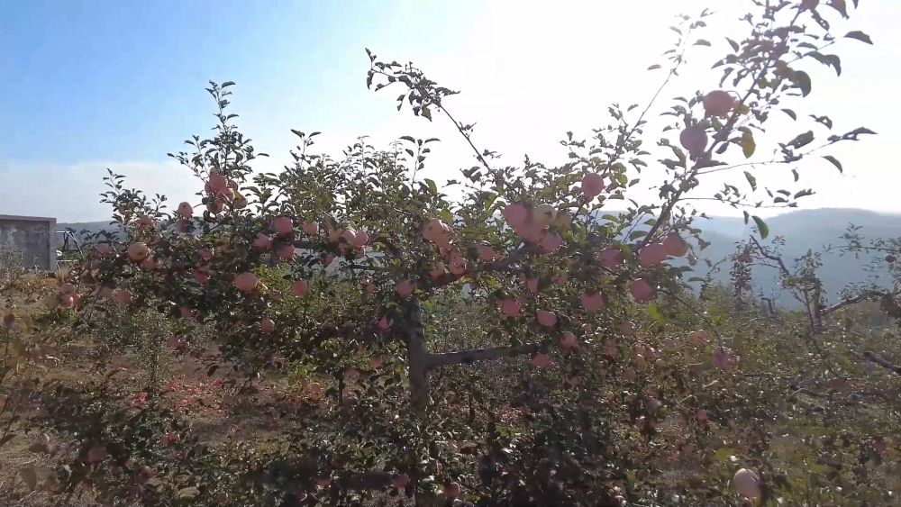 新华视点|生态绘新卷 各地绘就绿色发展好风光 新华视点|生态绘新卷 各地绘就绿色发展好风光