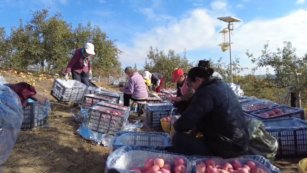 新华视点|生态绘新卷 各地绘就绿色发展好风光 新华视点|生态绘新卷 各地绘就绿色发展好风光