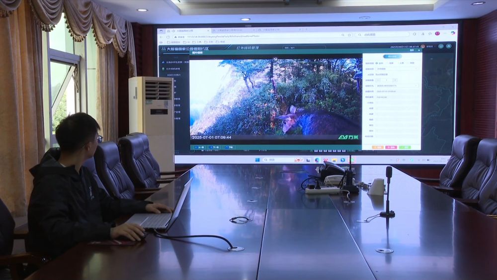 新华视点|生态绘新卷 各地绘就绿色发展好风光 新华视点|生态绘新卷 各地绘就绿色发展好风光