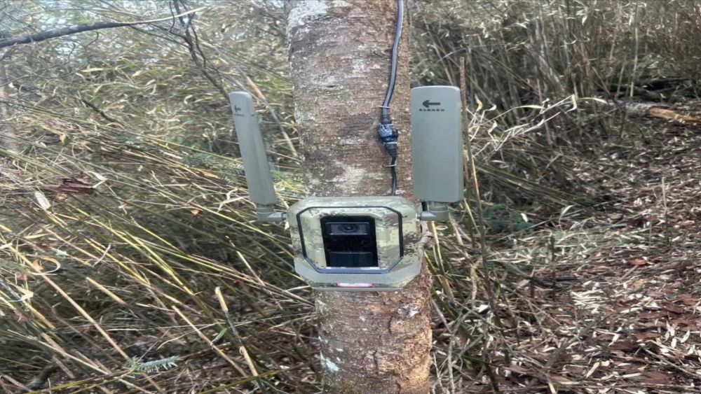 新华视点|生态绘新卷 各地绘就绿色发展好风光 新华视点|生态绘新卷 各地绘就绿色发展好风光