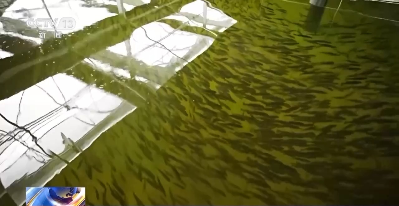 我国现代农业产业园总产值超3万亿元