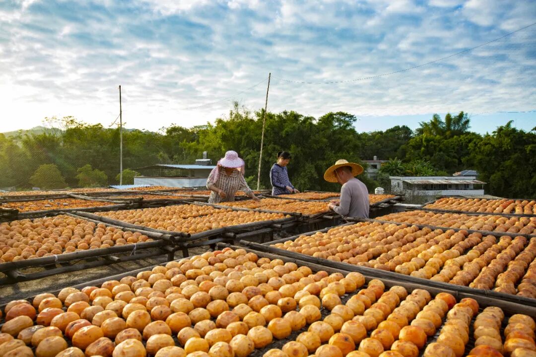 8年攻坚,5年巩固,近1亿人稳定脱贫,中国为什么能? 图片