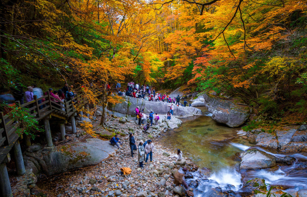 热词看未来｜丰富高品质旅游产品供给