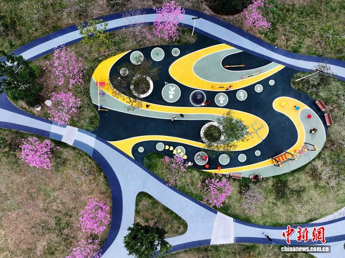 冬日福州口袋公园上演紫色浪漫