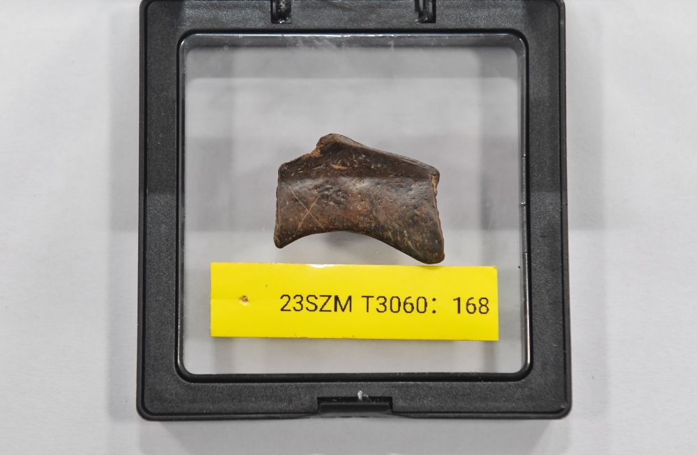 镜观·回响|巴风蜀韵承古脉 千年文华耀西川 镜观·回响|巴风蜀韵承古脉 千年文华耀西川