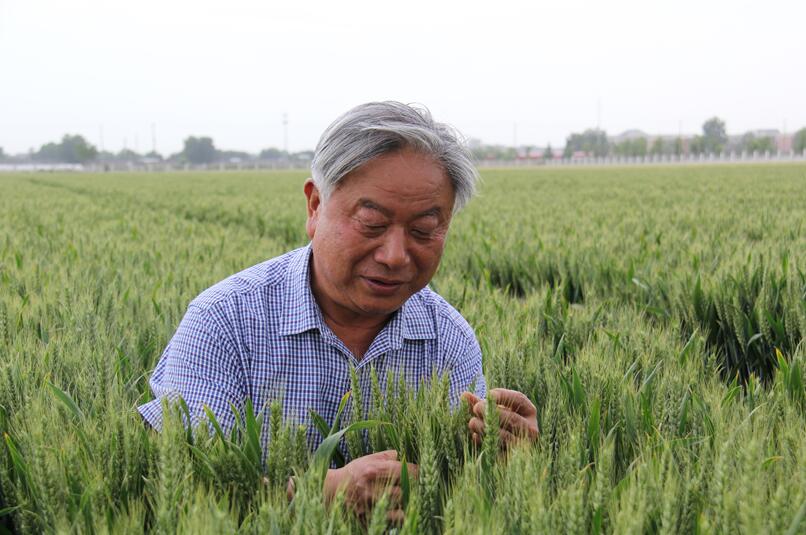 【“十五五”我所思·我所盼】有声手账丨盼庄稼更加茁壮