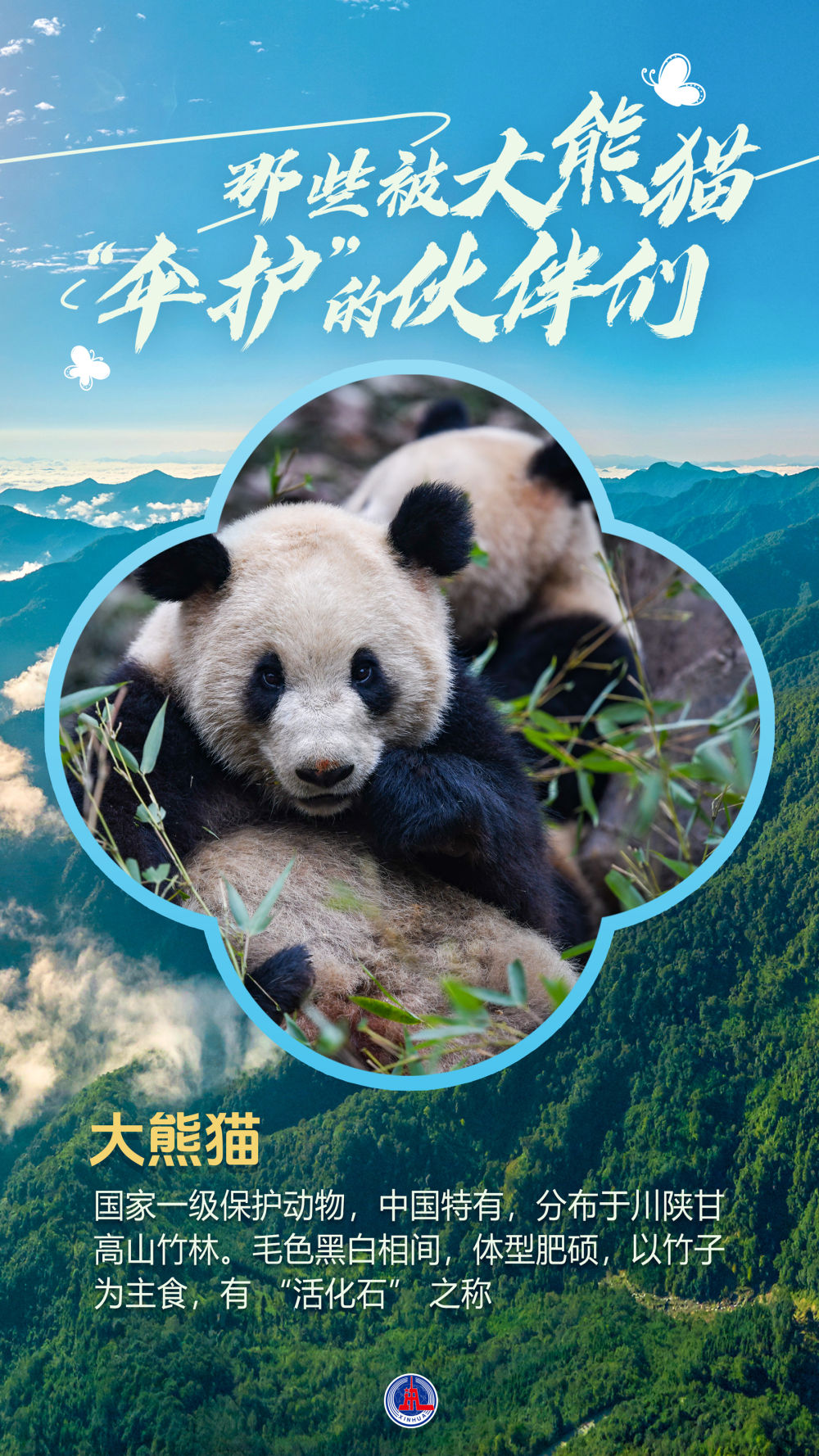 海报丨那些被大熊猫“伞护”的伙伴们