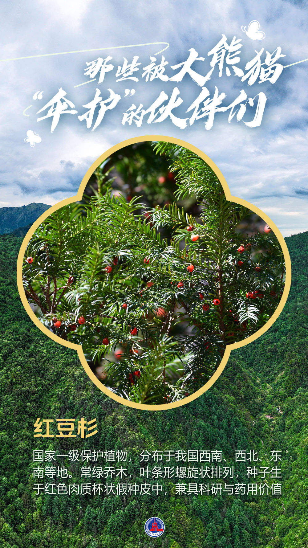 海报丨那些被大熊猫“伞护”的伙伴们