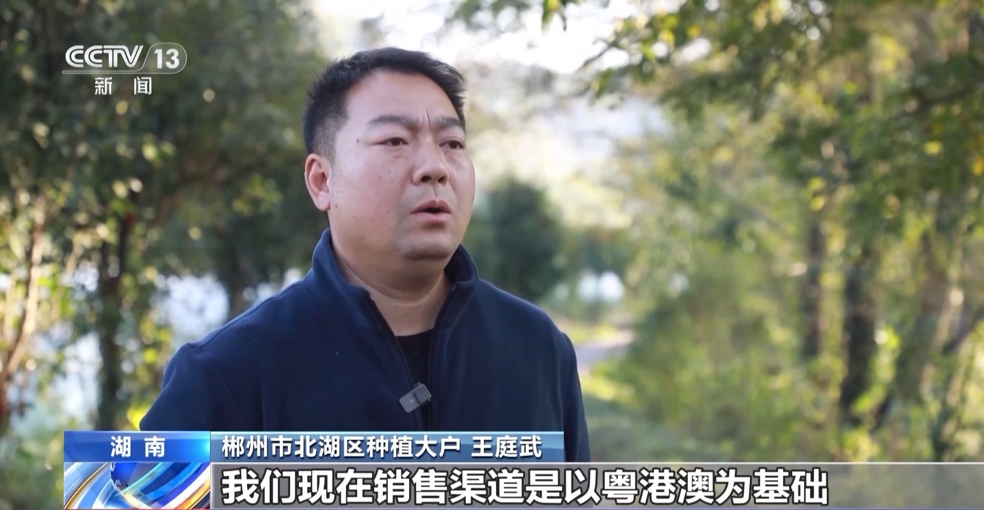 蔬菜贷、民宿贷、水果贷?金融服务“精准滴灌”到田间地头