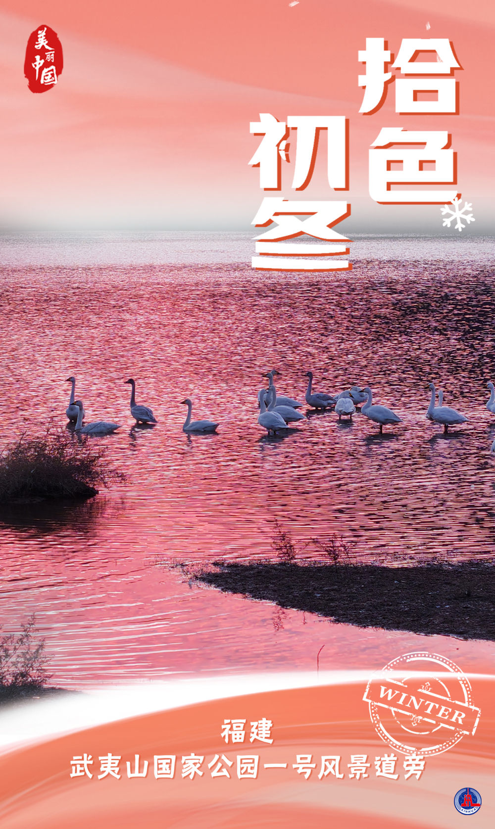 海报｜美丽中国·拾色初冬