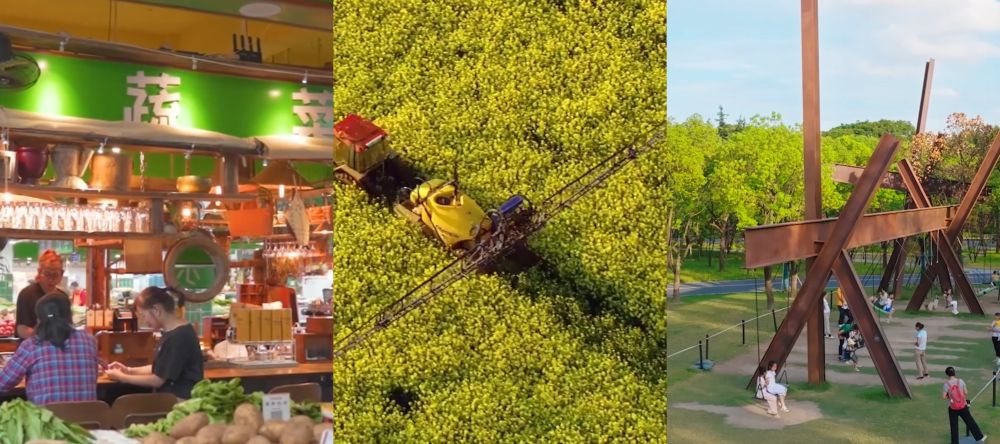 新征程·新蓝图｜实施城乡居民增收计划 推动形成橄榄型分配格局