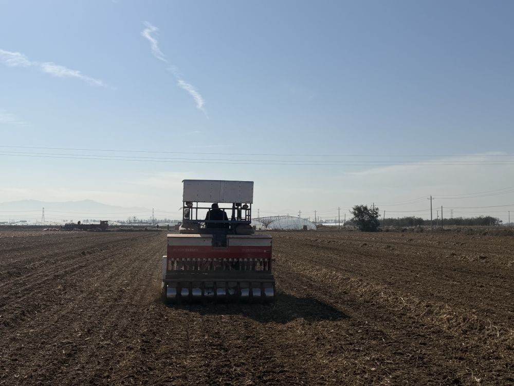 今冬不放松,来年“丰”可期——多地冬种及田间管护见闻 今冬不放松,来年“丰”可期——多地冬种及田间管护见闻