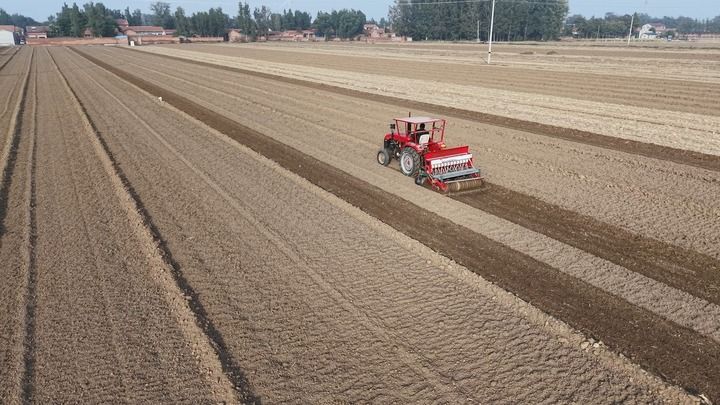 今冬不放松,来年“丰”可期——多地冬种及田间管护见闻 今冬不放松,来年“丰”可期——多地冬种及田间管护见闻